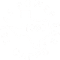 Texas logo mini